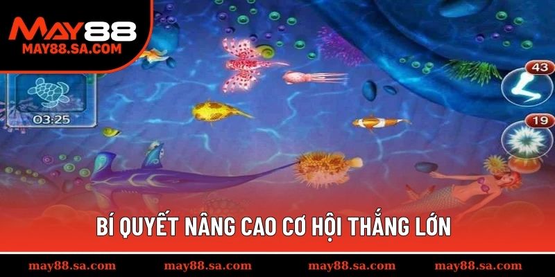 Bí quyết nâng cao cơ hội thắng lớn trong bắn cá ăn tiền