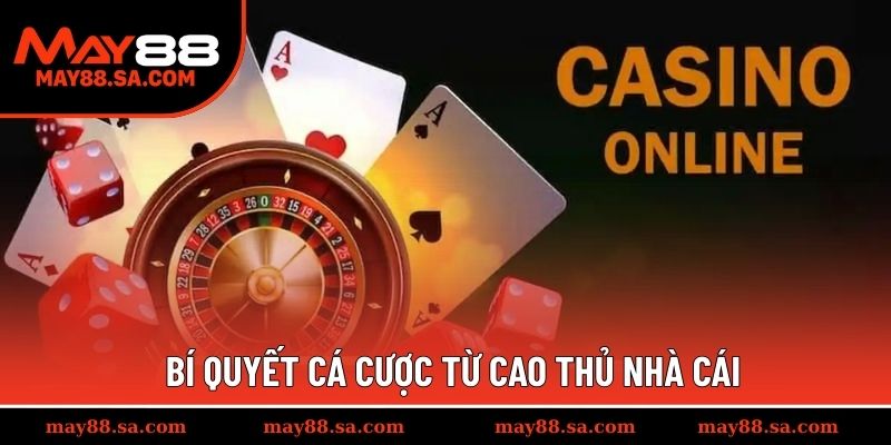 Bí quyết cá cược từ cao thủ nhà cái