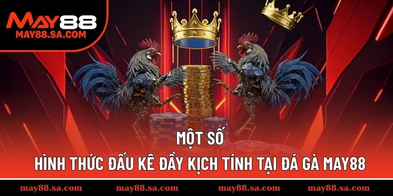 Top 3 hình thức đấu kê nổi bật tại hệ thống