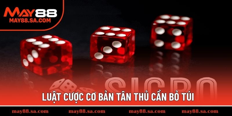 Luật cược cơ bản tân thủ cần bỏ túi